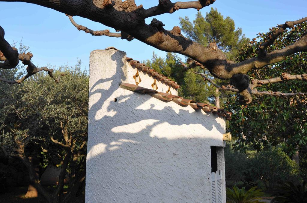 Du Cote De Chez Soi Hotel La Ciotat Luaran gambar